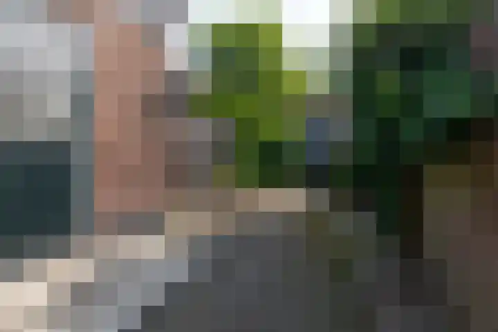 Van Berckstraat 5 Velp thumbnail 23