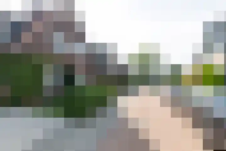 Van Berckstraat 5 Velp thumbnail 26