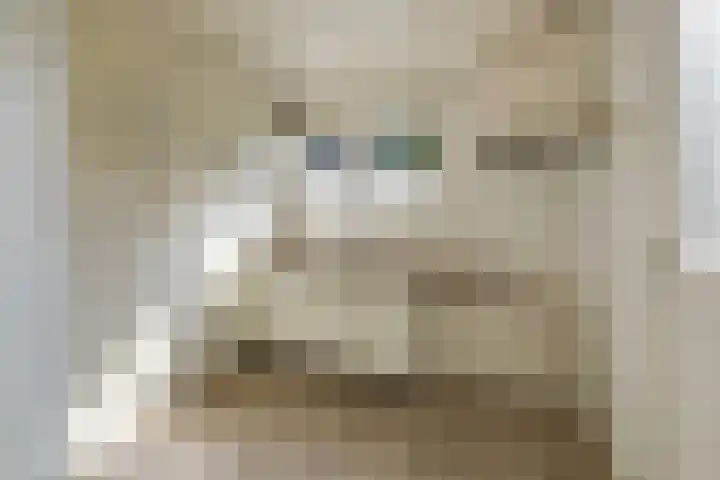 Van Berckstraat 5 Velp thumbnail 7