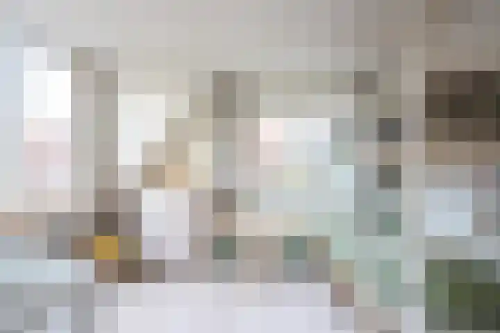 Van Berckstraat 9 Velp thumbnail 18