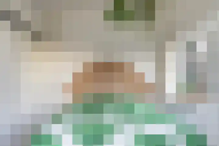 Van Berckstraat 9 Velp thumbnail 22