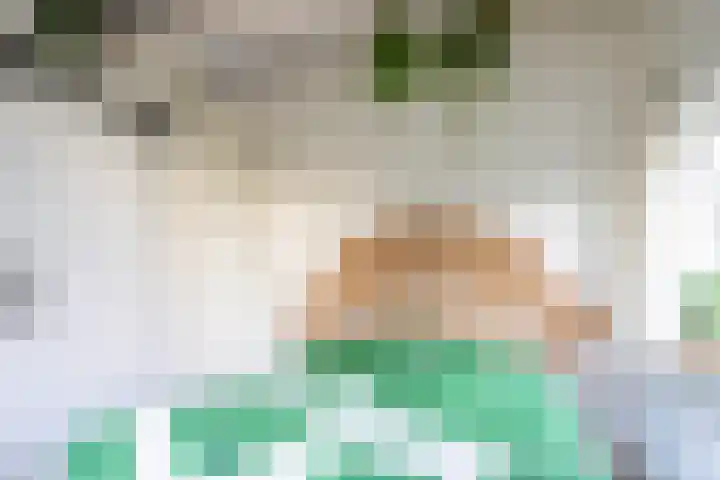 Van Berckstraat 9 Velp thumbnail 23