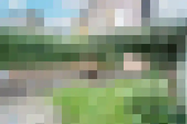 Van Berckstraat 9 Velp thumbnail 27