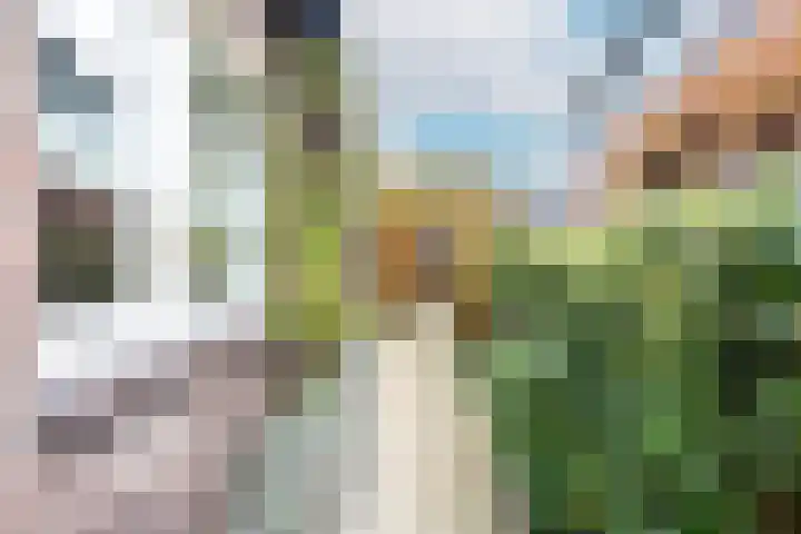 Van Berckstraat 9 Velp thumbnail 31