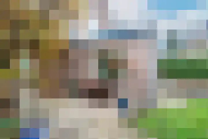 Van Berckstraat 9 Velp thumbnail 32