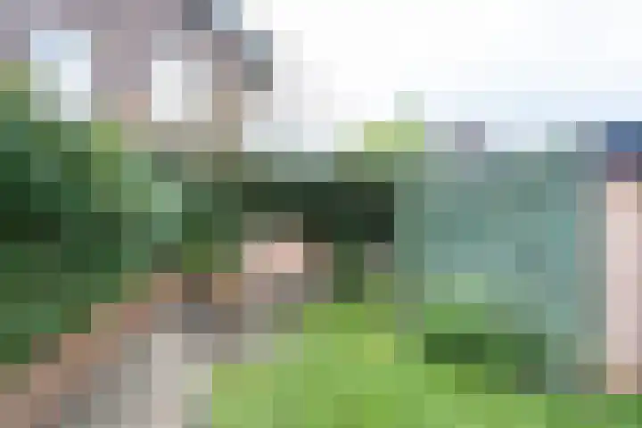 Van Berckstraat 9 Velp thumbnail 34