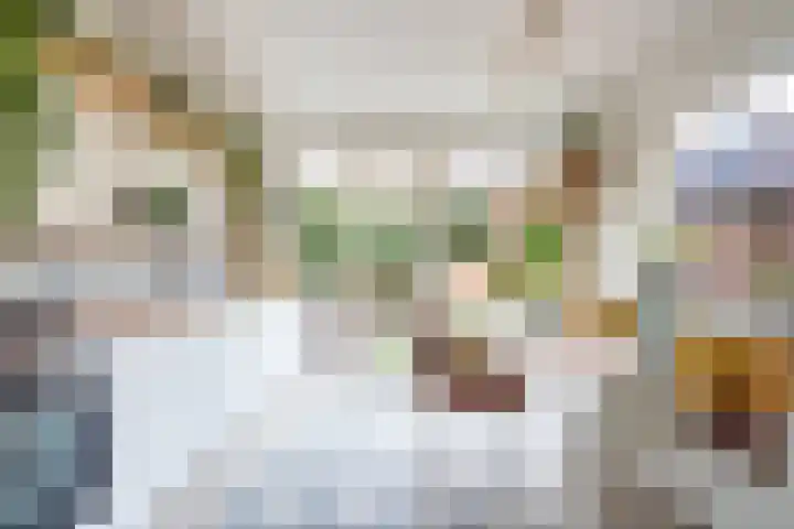 Van Berckstraat 9 Velp thumbnail 4