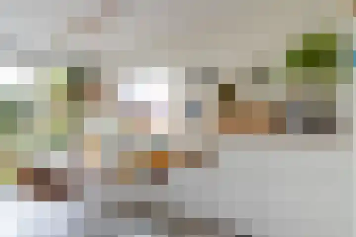 Van Berckstraat 9 Velp thumbnail 5
