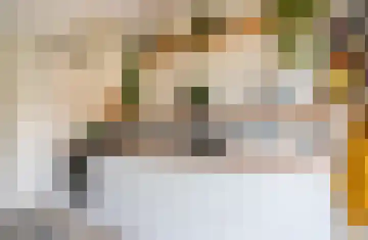 Van Berckstraat 9 Velp thumbnail 6