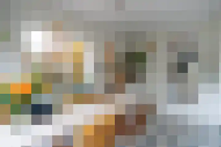 Van Berckstraat 9 Velp thumbnail 7