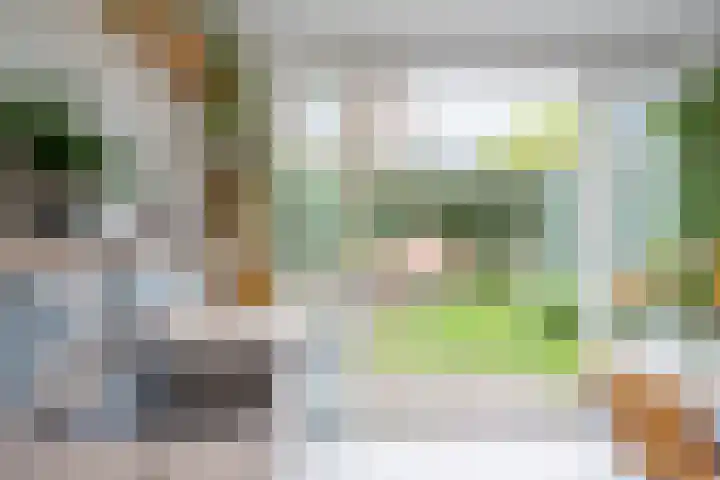 Van Berckstraat 9 Velp thumbnail 8