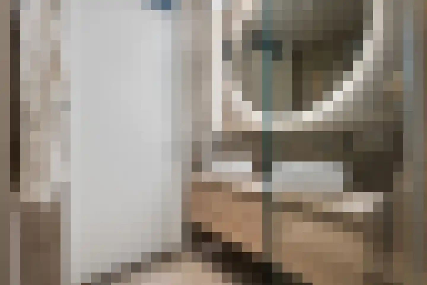 van Beresteijnstraat 14 A Veendam thumbnail 18