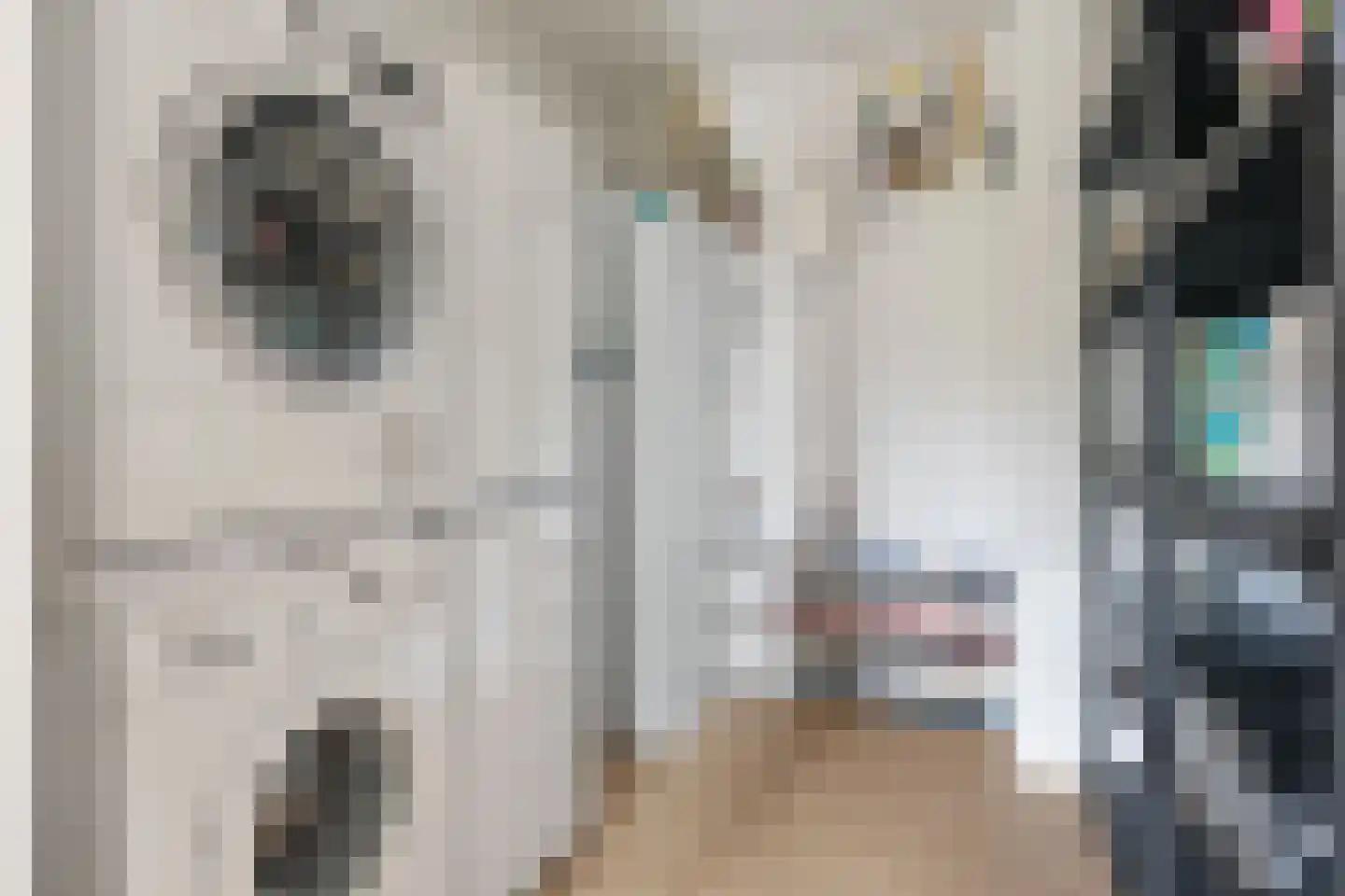 van Beresteijnstraat 14 A Veendam thumbnail 22
