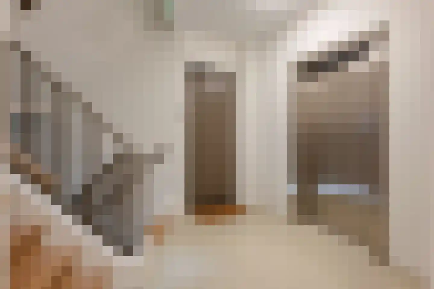 van Beresteijnstraat 14 A Veendam thumbnail 5
