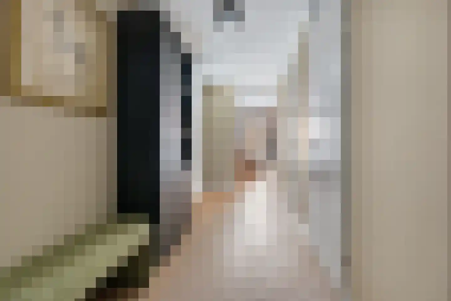 van Beresteijnstraat 14 A Veendam thumbnail 7