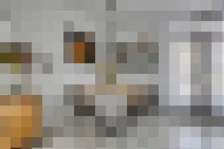 van Beresteynstraat 12 's-Hertogenbosch thumbnail 5