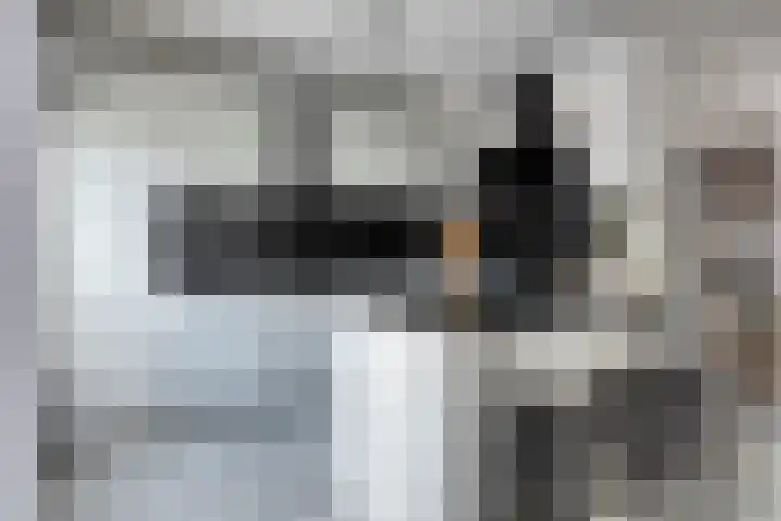 van Beresteynstraat 12 's-Hertogenbosch thumbnail 8