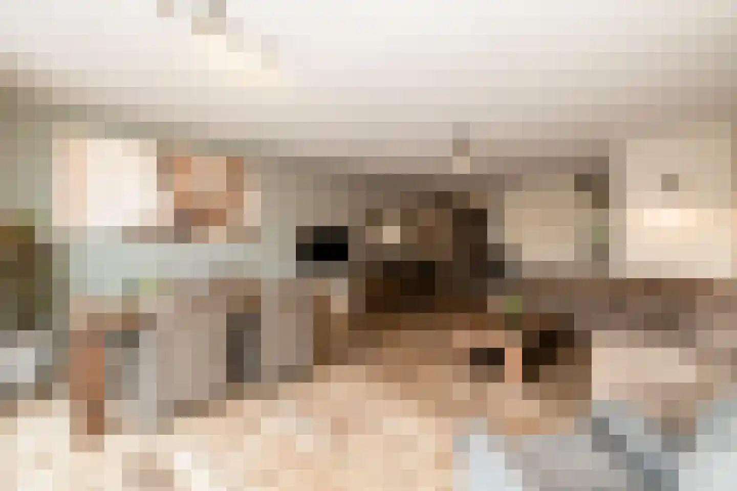 Van Bergenhenegouwenlaan 3 Poeldijk thumbnail 11