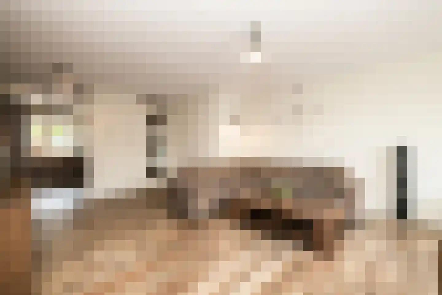 Van Bergenhenegouwenlaan 3 Poeldijk thumbnail 12