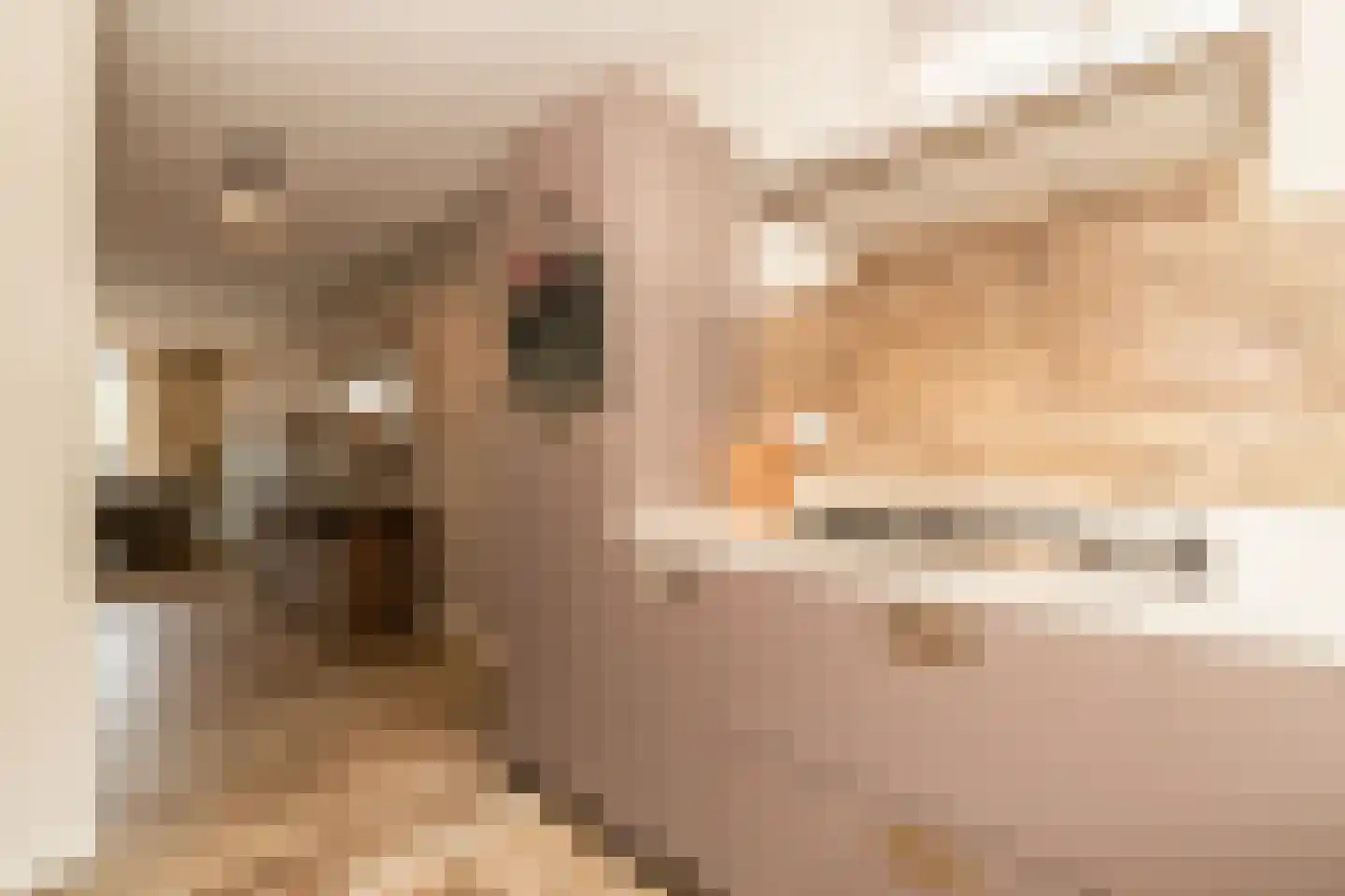 Van Bergenhenegouwenlaan 3 Poeldijk thumbnail 14