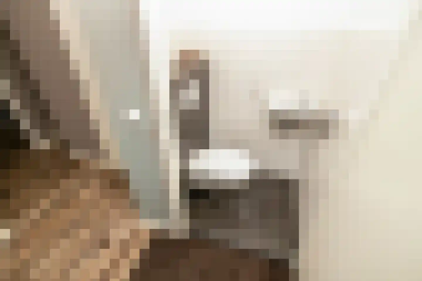 Van Bergenhenegouwenlaan 3 Poeldijk thumbnail 15