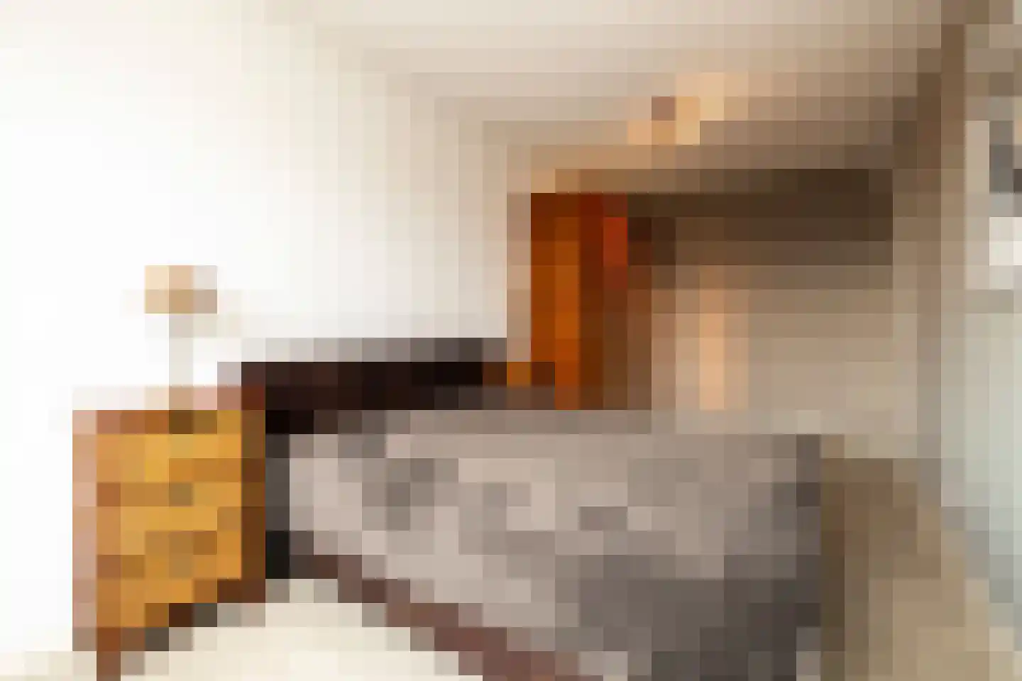 Van Bergenhenegouwenlaan 3 Poeldijk thumbnail 18