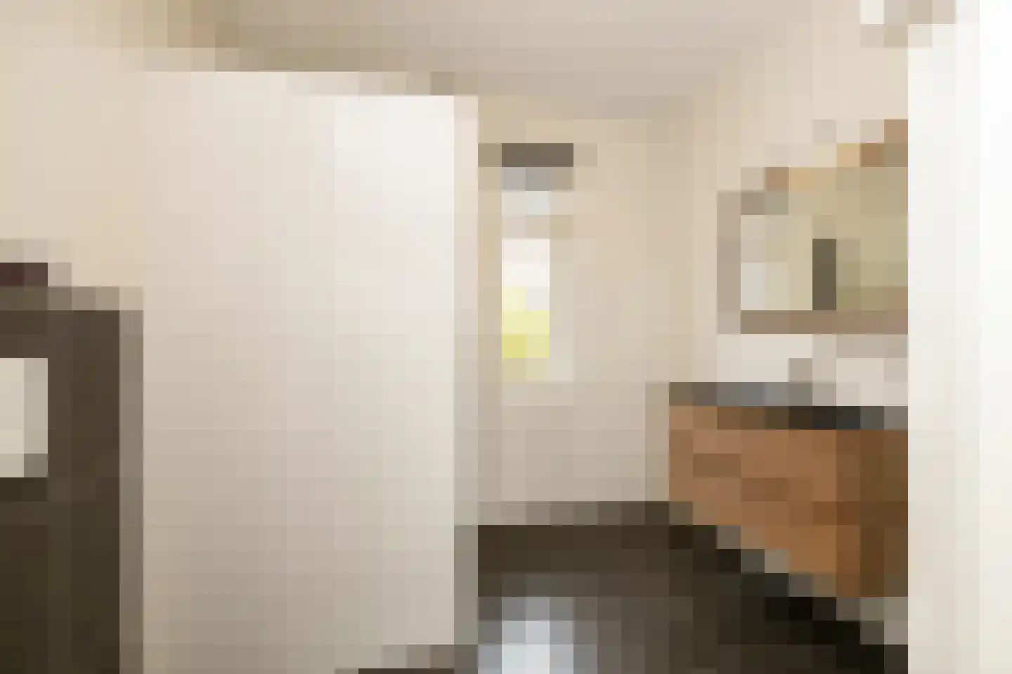 Van Bergenhenegouwenlaan 3 Poeldijk thumbnail 19