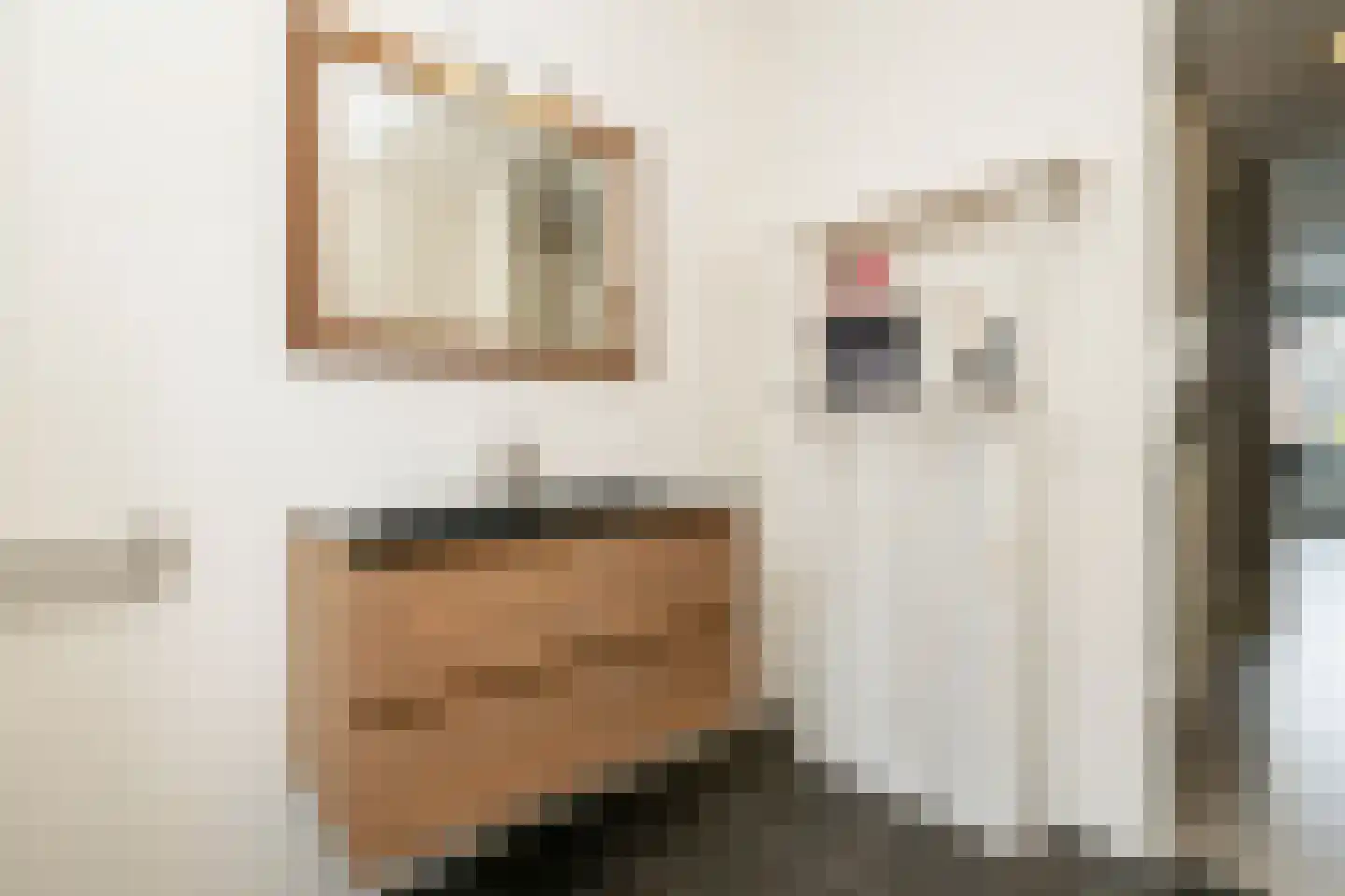 Van Bergenhenegouwenlaan 3 Poeldijk thumbnail 20
