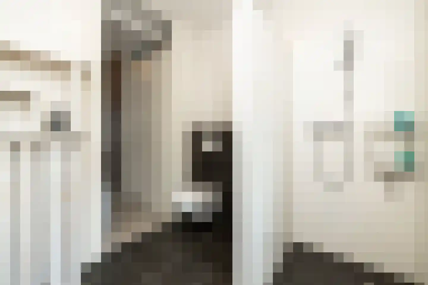 Van Bergenhenegouwenlaan 3 Poeldijk thumbnail 21