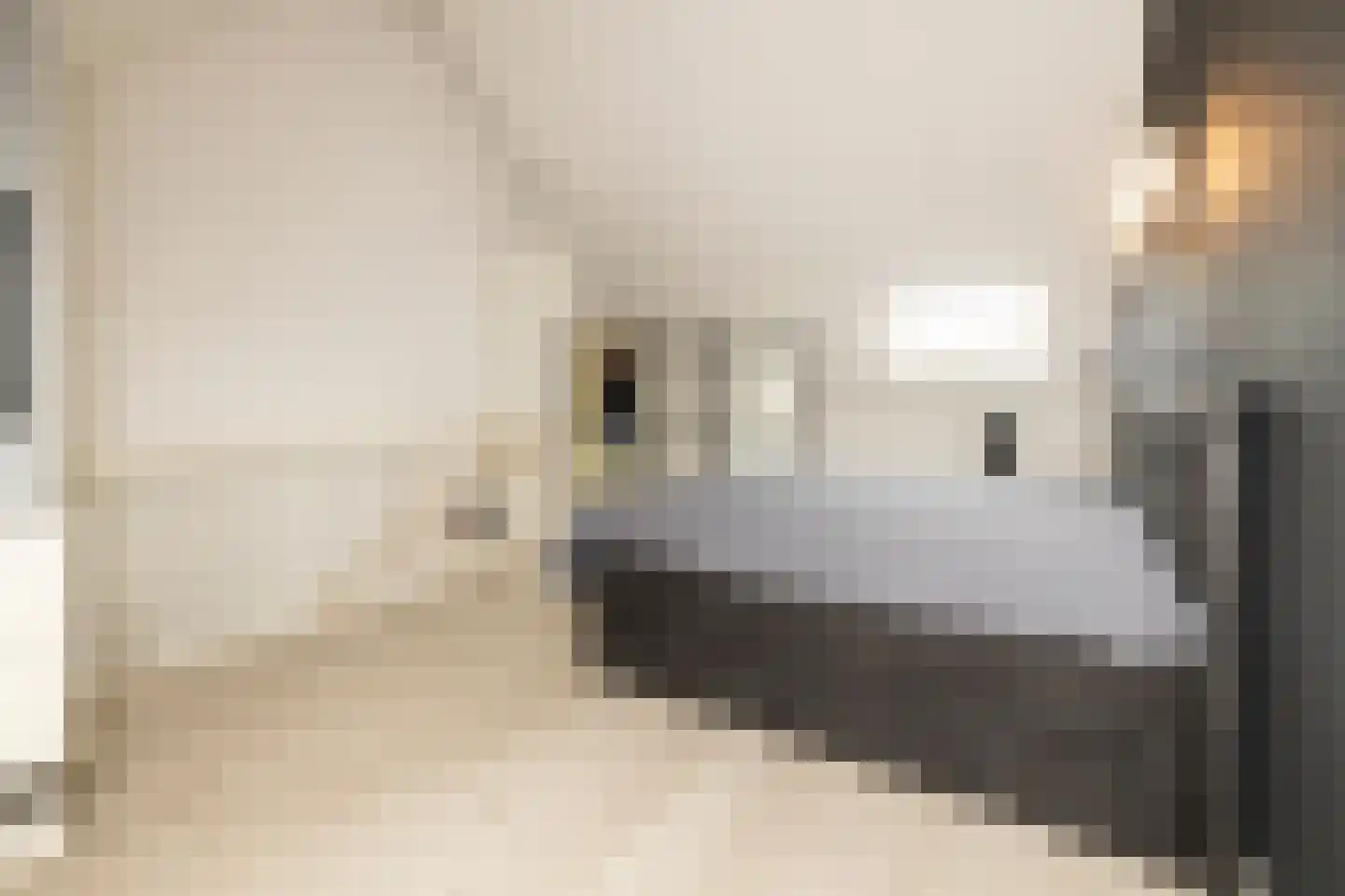 Van Bergenhenegouwenlaan 3 Poeldijk thumbnail 26