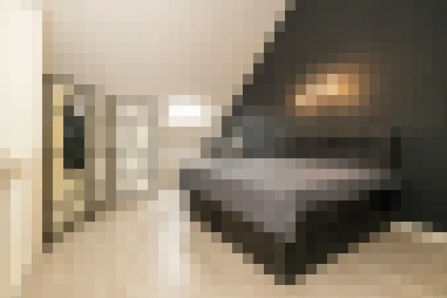 Van Bergenhenegouwenlaan 3 Poeldijk thumbnail 27
