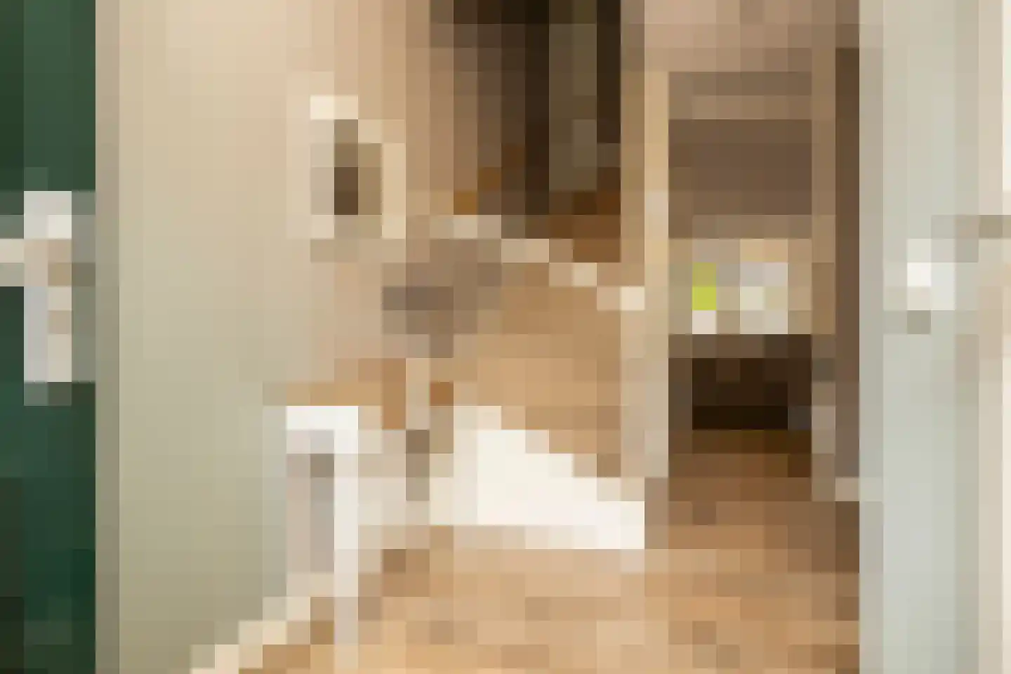 Van Bergenhenegouwenlaan 3 Poeldijk thumbnail 7