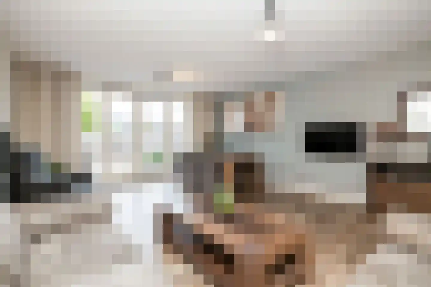 Van Bergenhenegouwenlaan 3 Poeldijk thumbnail 9