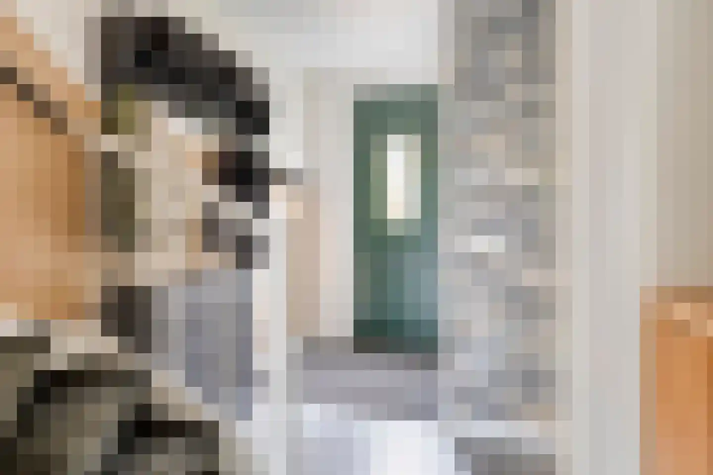 Van Bergenhenegouwenlaan 5 Poeldijk thumbnail 10