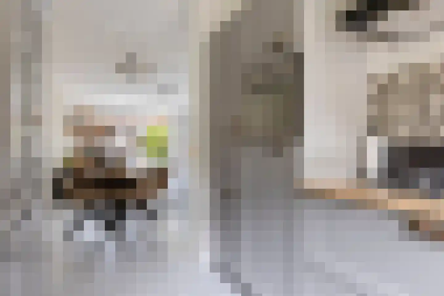 Van Bergenhenegouwenlaan 5 Poeldijk thumbnail 17