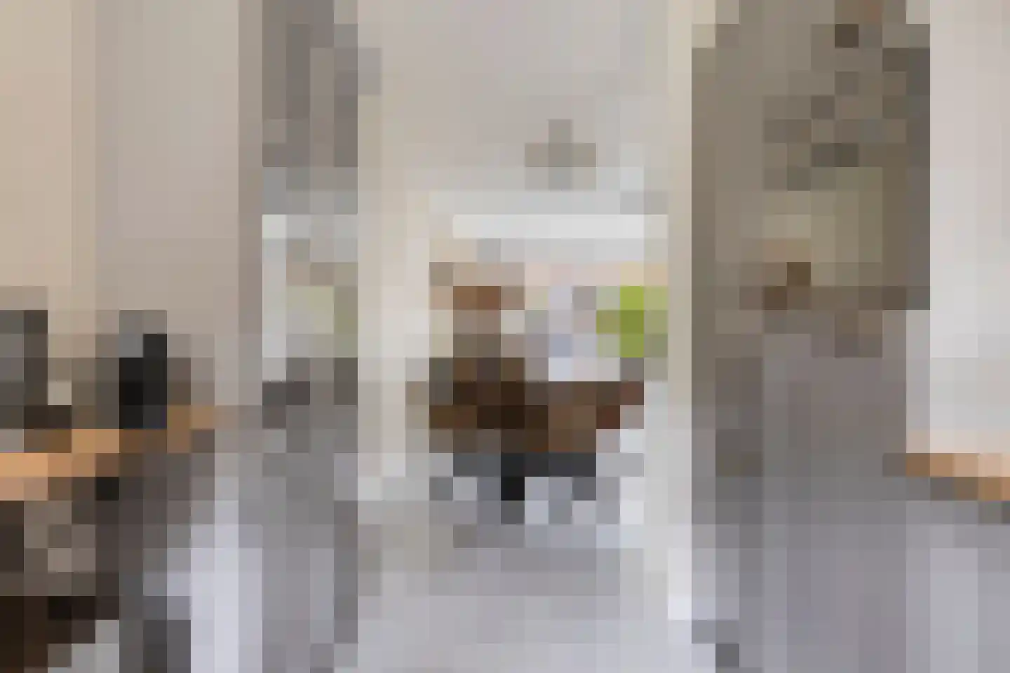 Van Bergenhenegouwenlaan 5 Poeldijk thumbnail 18