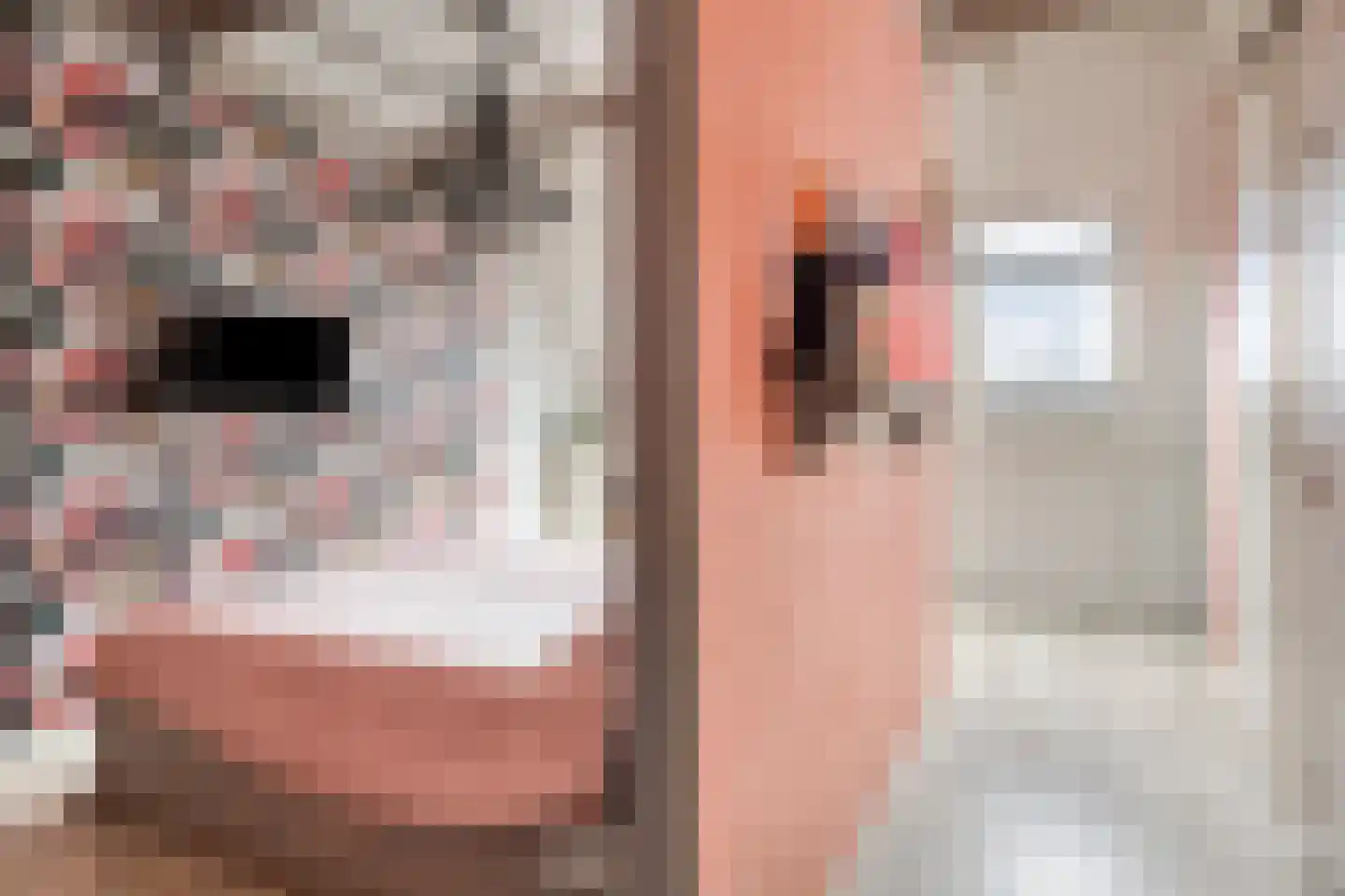 Van Bergenhenegouwenlaan 5 Poeldijk thumbnail 34