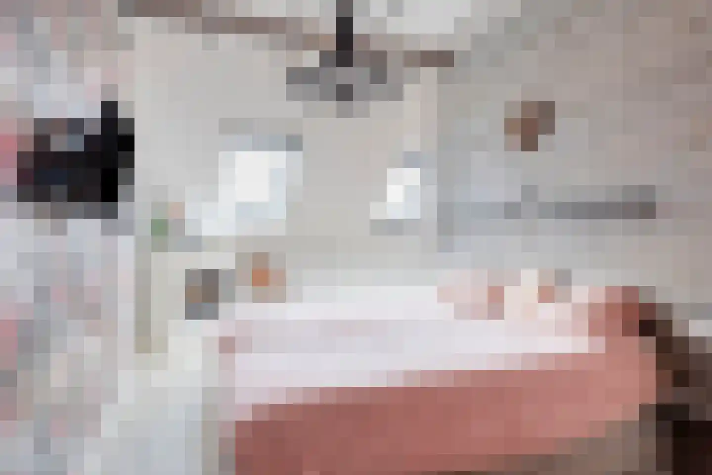 Van Bergenhenegouwenlaan 5 Poeldijk thumbnail 35