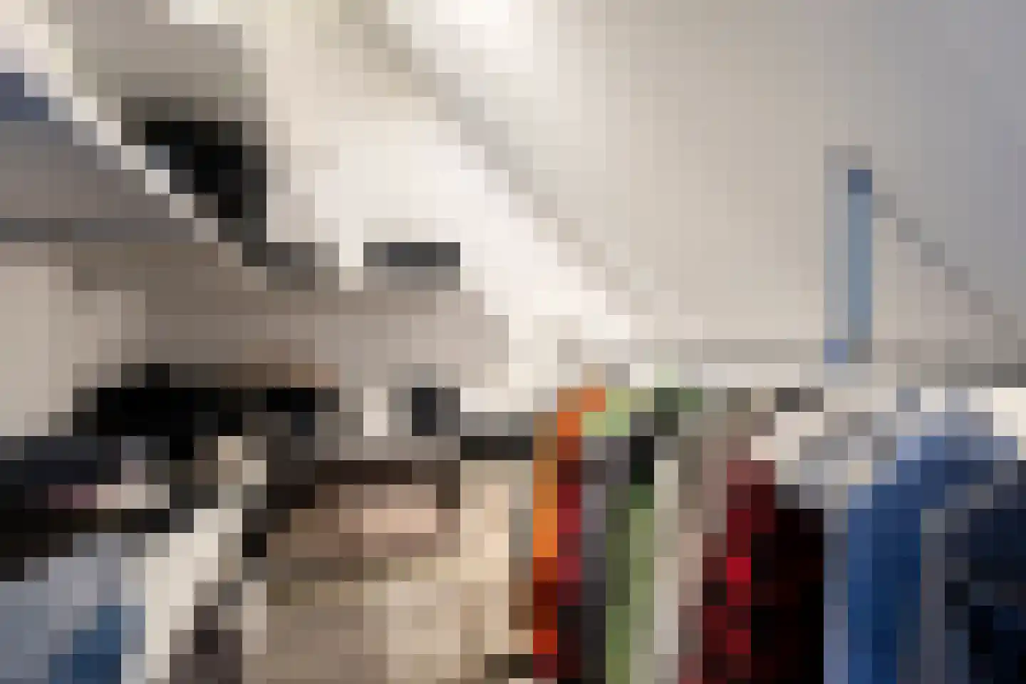 Van Bergenhenegouwenlaan 5 Poeldijk thumbnail 38