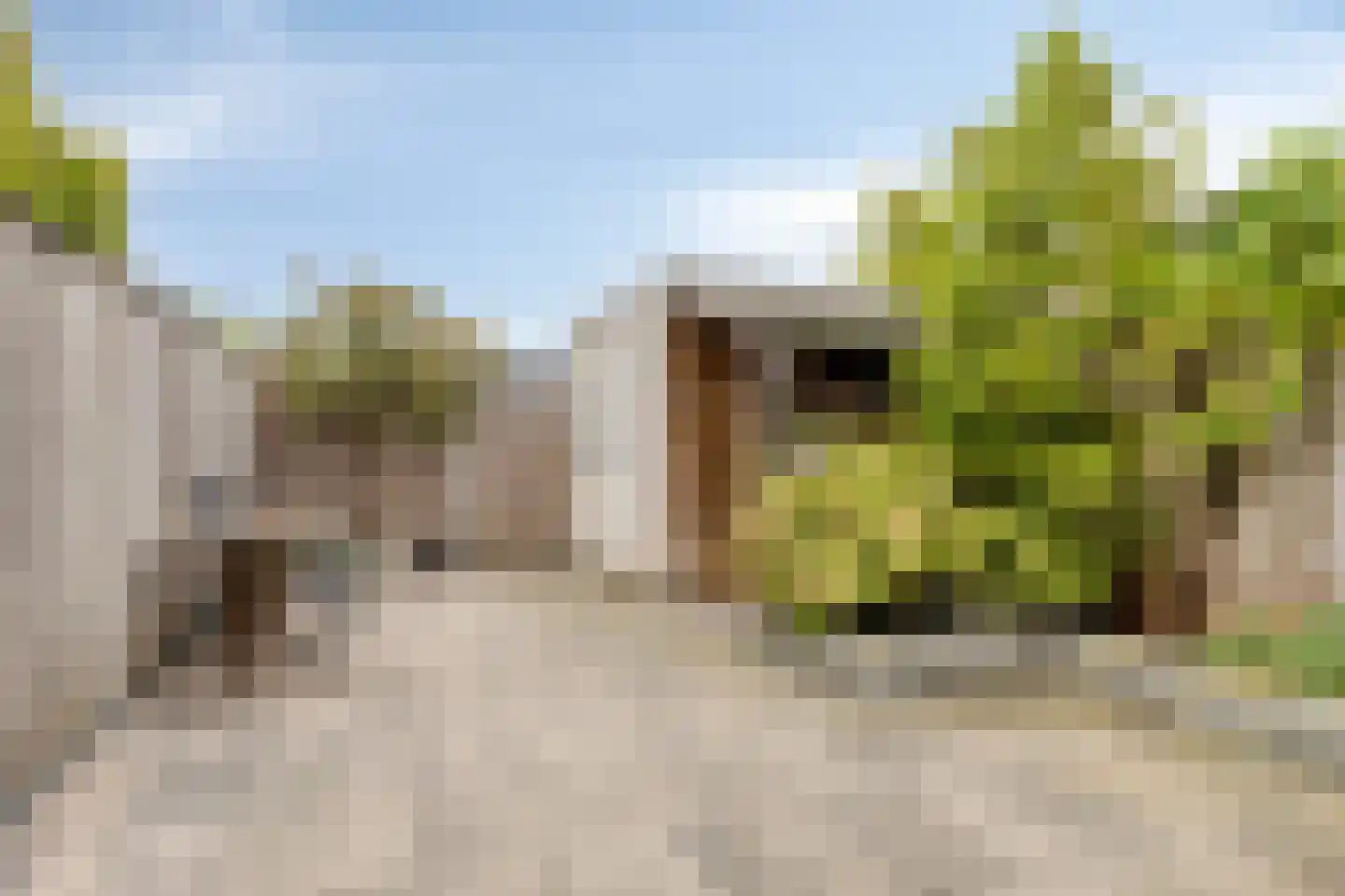 Van Bergenhenegouwenlaan 5 Poeldijk thumbnail 39
