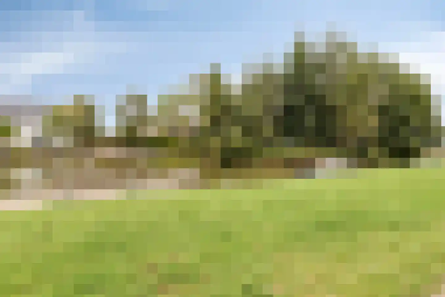 Van Bergenhenegouwenlaan 5 Poeldijk thumbnail 49