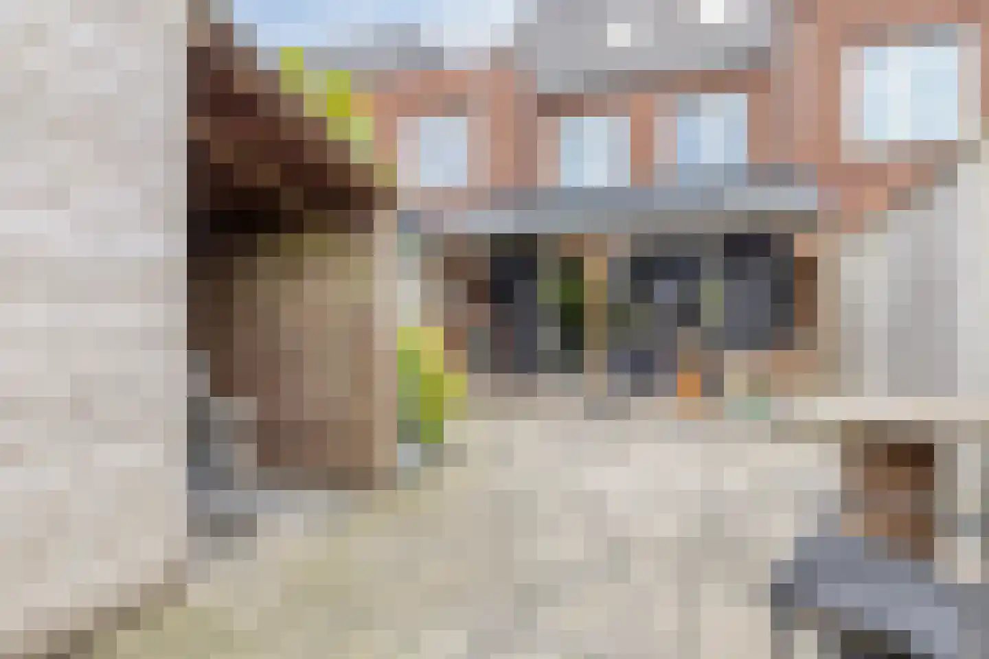 Van Bergenhenegouwenlaan 5 Poeldijk thumbnail 5