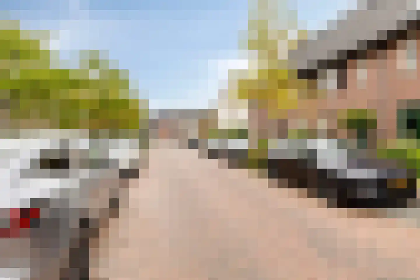 Van Bergenhenegouwenlaan 5 Poeldijk thumbnail 6