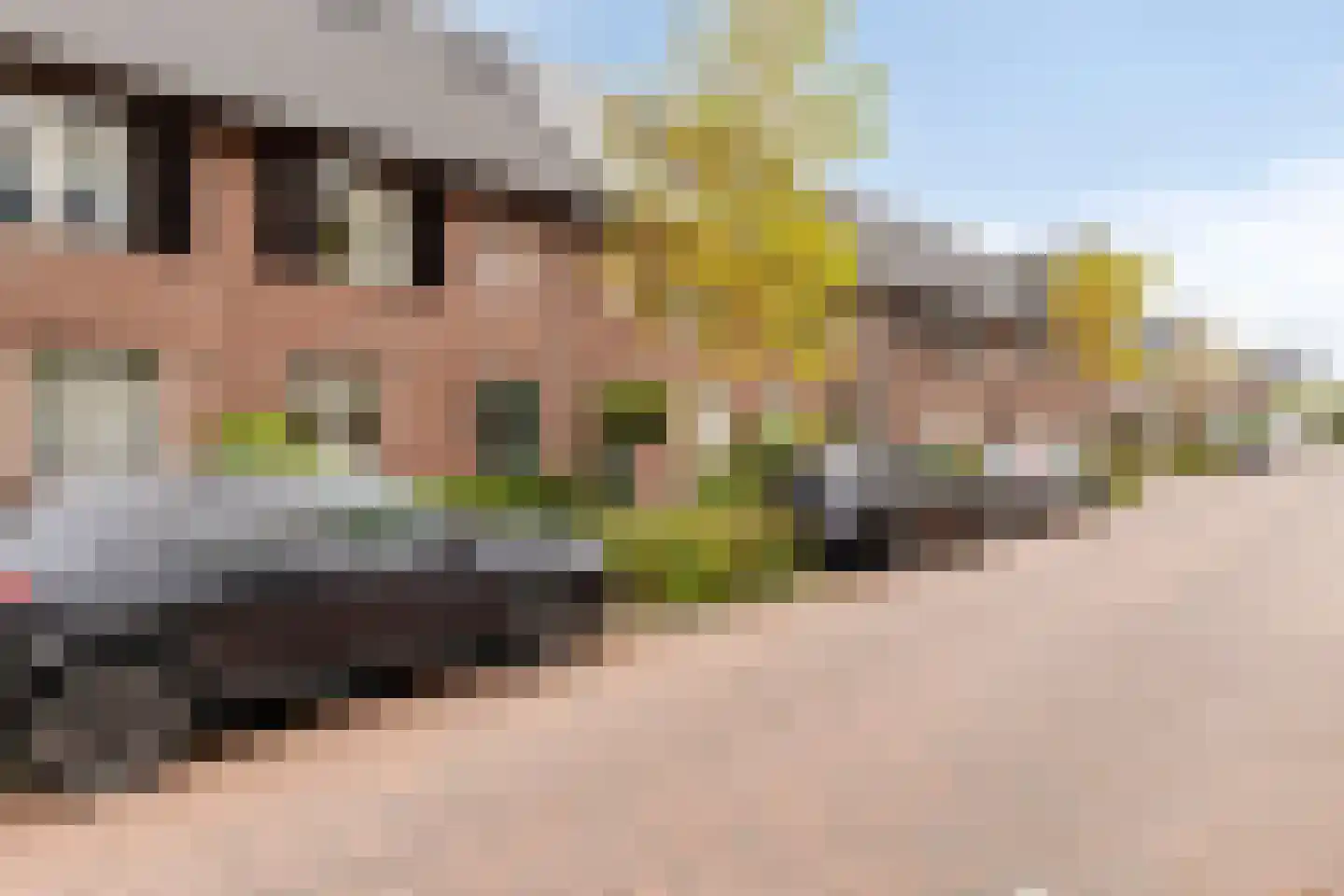 Van Bergenhenegouwenlaan 5 Poeldijk thumbnail 8