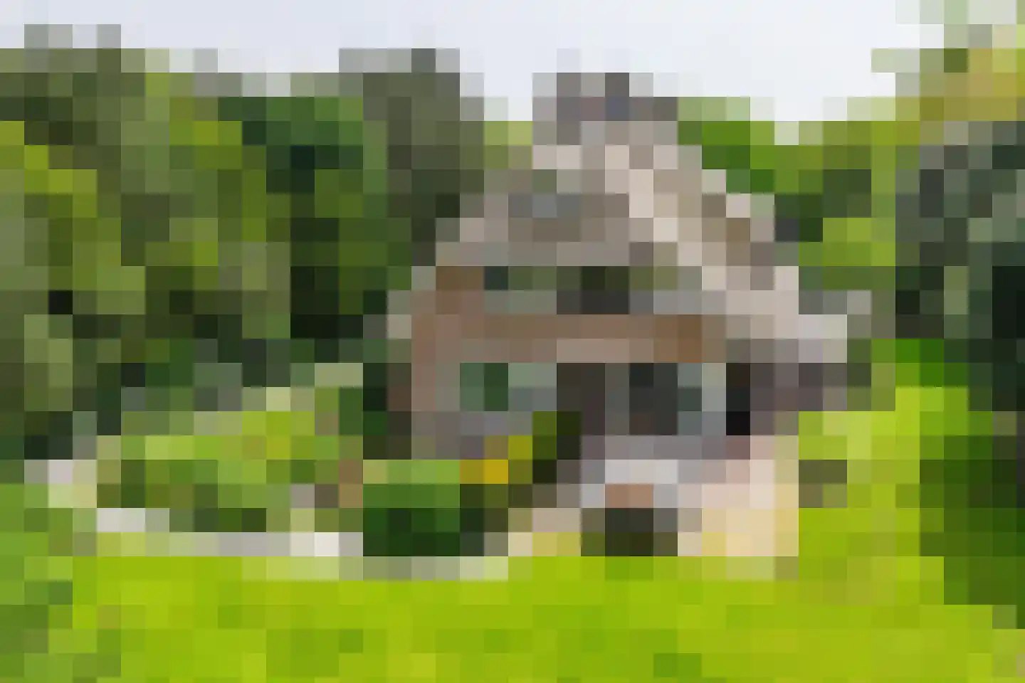 Van Bergenlaan 1 A Wassenaar thumbnail 10