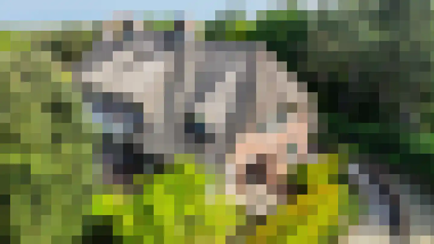 Van Bergenlaan 1 A Wassenaar thumbnail 10