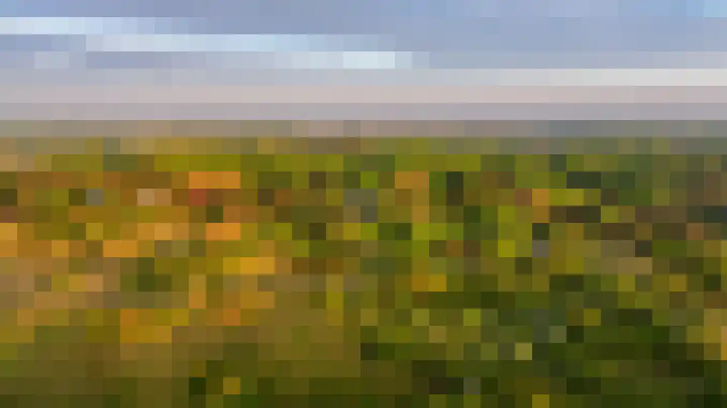 Van Bergenlaan 1 A Wassenaar thumbnail 13