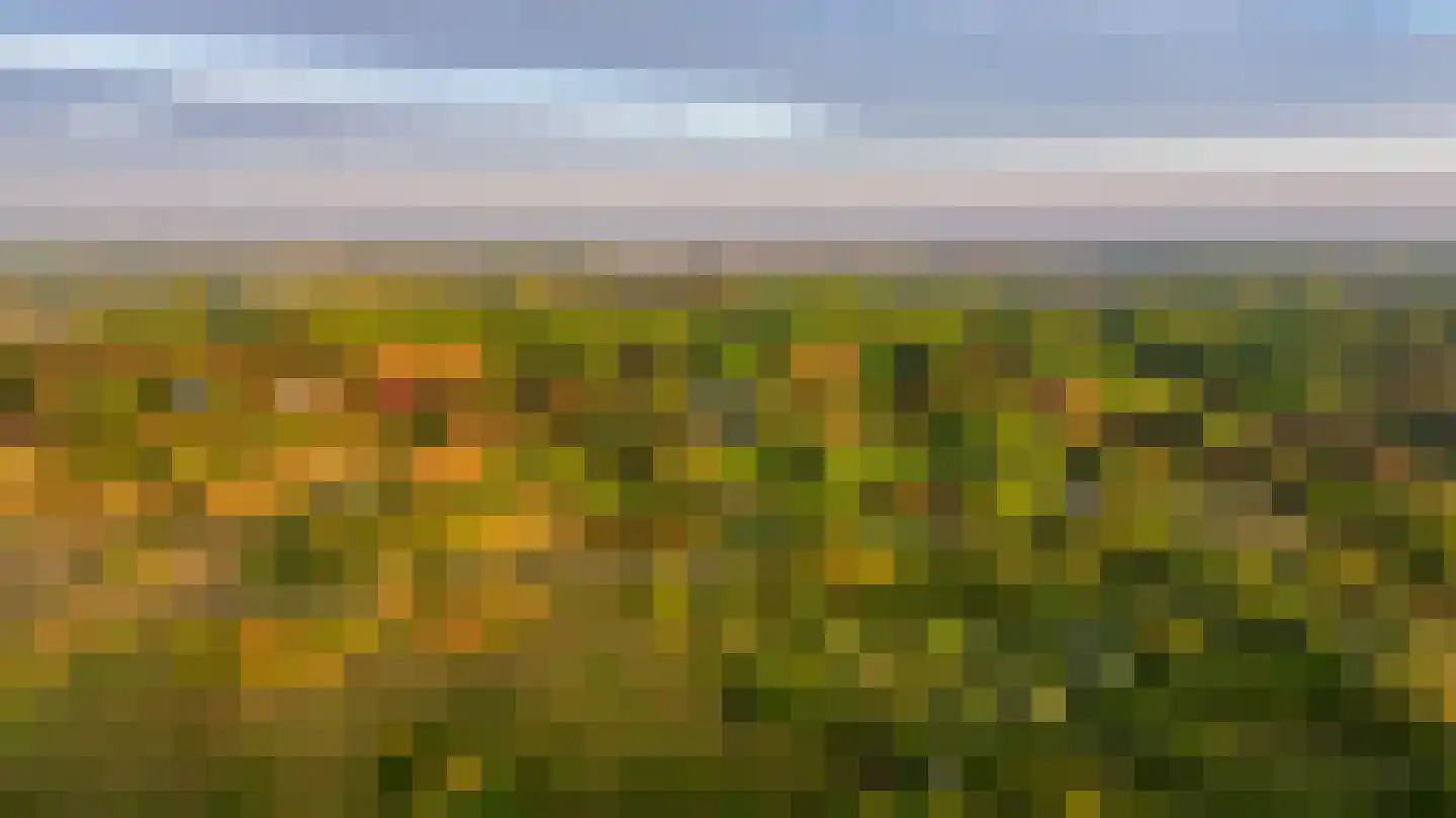 Van Bergenlaan 1 A Wassenaar thumbnail 14