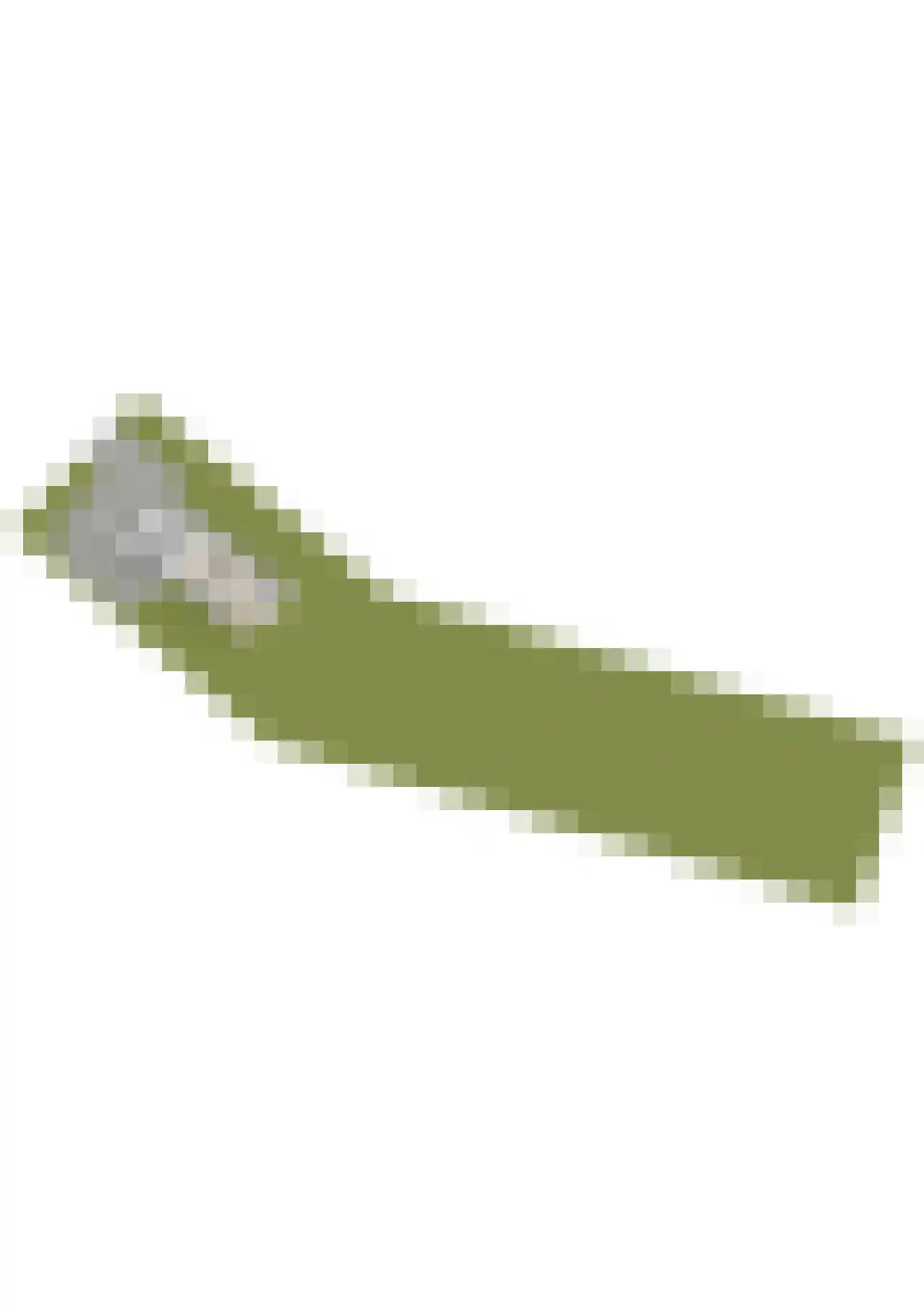 Van Bergenlaan 1 A Wassenaar thumbnail 25