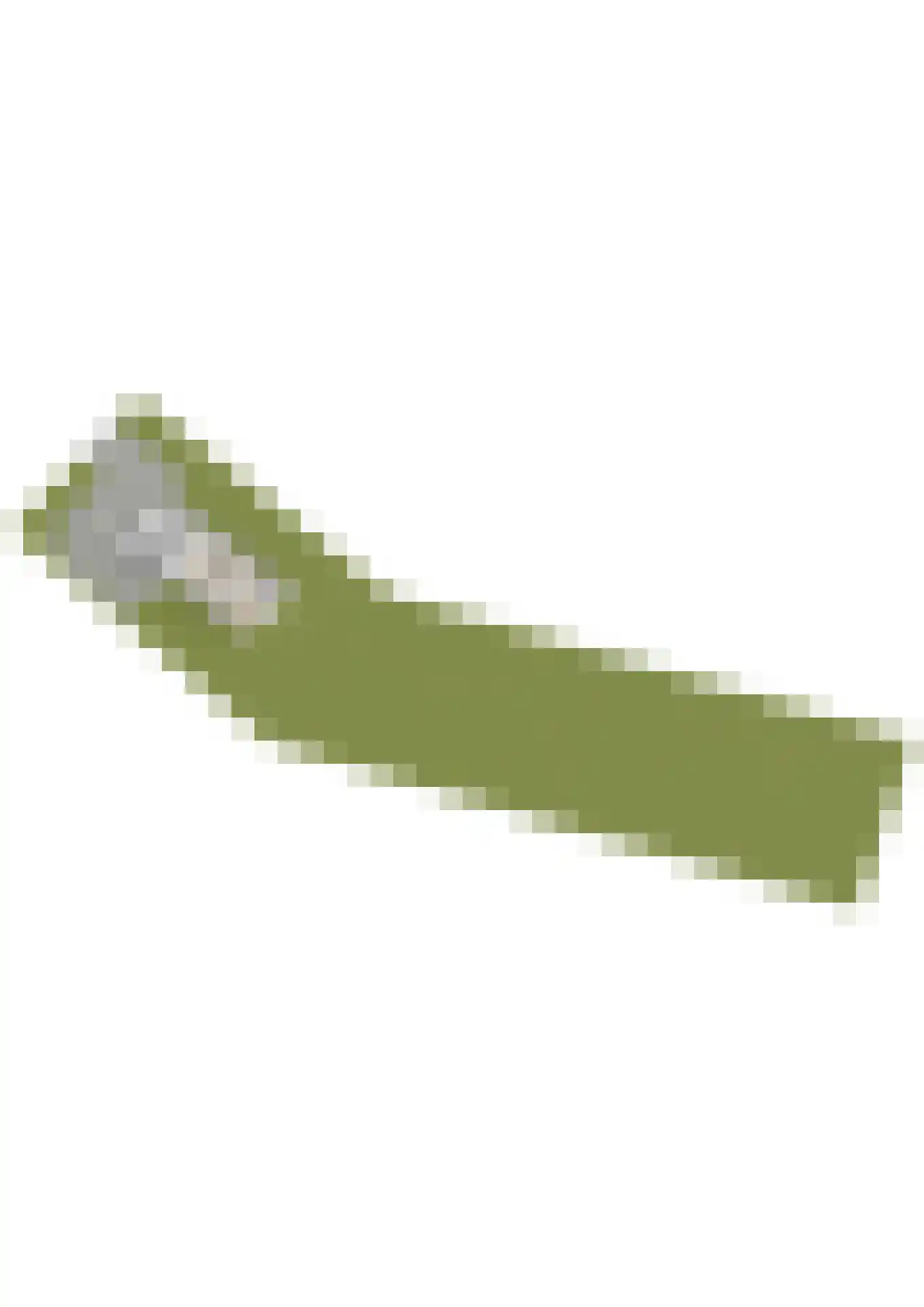Van Bergenlaan 1 A Wassenaar thumbnail 26